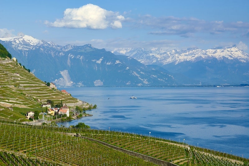 Cérémonie laïque Lavaux